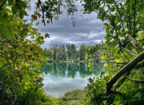 Blick durch die Bl&auml;tter im Wald auf den Hochstrasser See bei Raubling, Rosenheim, Bayern, Deutschland