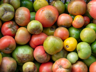 Top view shows assorted multicolored ripening tomatoes in various states of maturity with natural spots and blemishes densely packed inside black plastic container