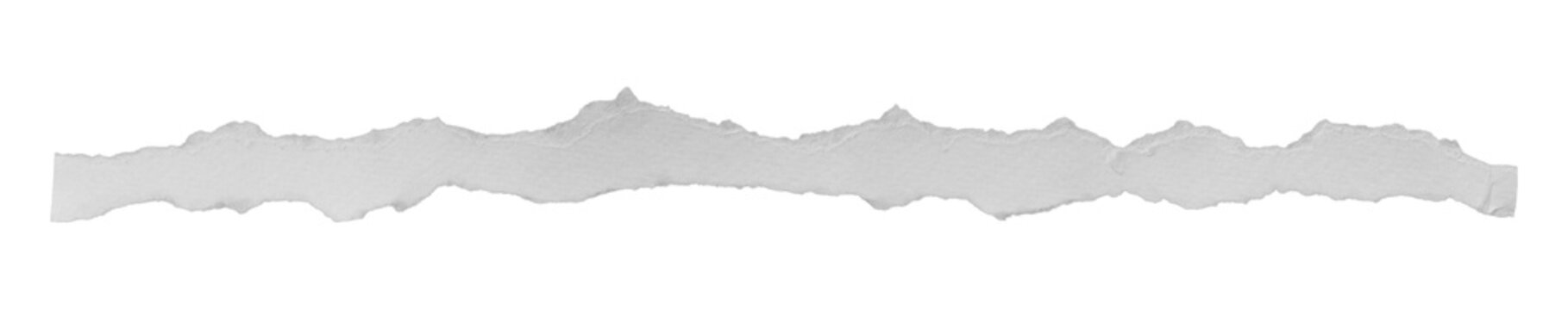 Thin ripped paper strip isolated on transparent background PNG.