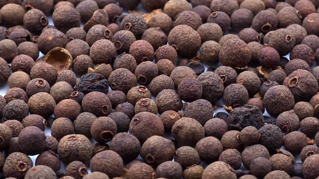 Dried pimento allspice berries texture macro background shot for spices