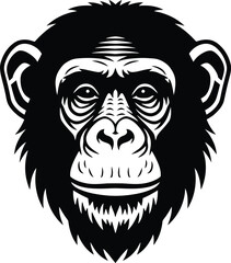 Fototapeta premium Chimpanzee Face Portrait: A striking, black-and-white portrait of a chimpanzee's face, meticulously designed to capture intricate details of this intelligent primate.