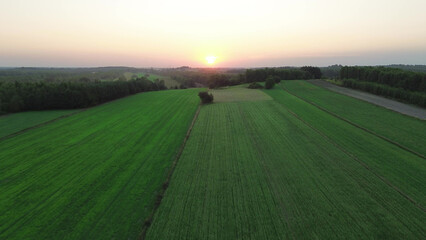 Obraz premium Autumn countryside panorama from the sky