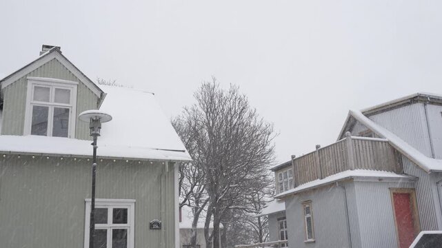 Snow falling over city rooftops and a central tree.