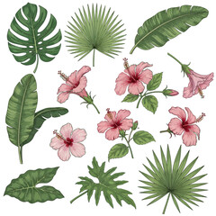 A vibrant collection of hand-drawn tropical leaves and exotic hibiscus flowers, perfect for summer designs, botanical-themed projects, and island foliage illustrations © adobe