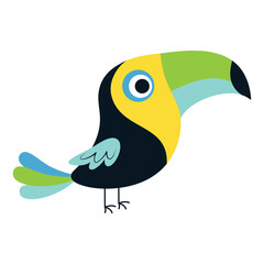 toucan bird isolated