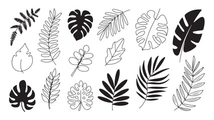 Set of tropical plant leaves black outlines and silhouettes, jungle foliage elements collection © Lover