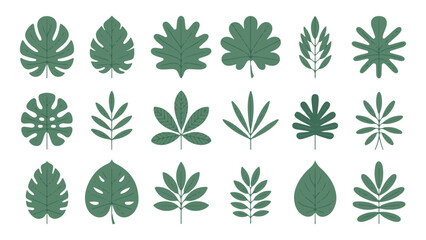 Green tropical leaves set, jungle foliage flat icons collection, exotic plants elements © Lover