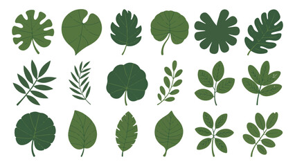 Naklejka premium Collection of various green tropical leaves with detailed veins on white background vector