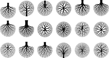 Collection of twenty stylized tree top view silhouettes with intricate branching patterns, radial designs, diverse canopy structures, landscape design inspiration, and botanical illustration artwork © Ziyarul