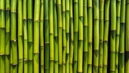 Obraz premium Vibrant Green Bamboo Stems Arrayed in a Seamless Natural Pattern