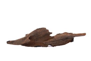 Fototapeta premium dead tree stump with roots and brown trunk Isolated on white background