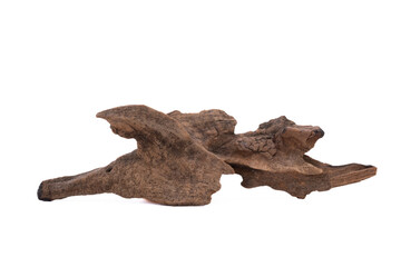 Fototapeta premium dead tree stump with roots and brown trunk Isolated on white background