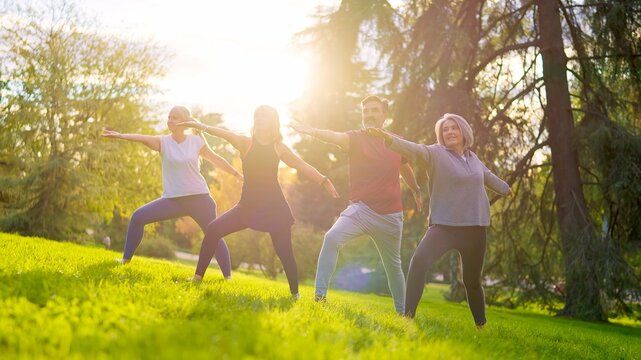 Senior friends practicing yoga together in the park at sunset