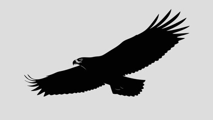 Obraz premium Silhouette of a soaring eagle in flight against a plain background