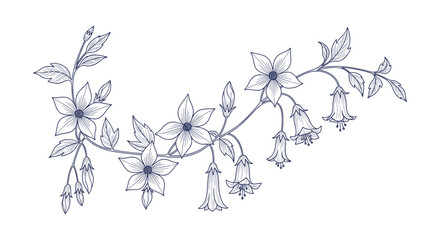 Elegant Hand-Drawn Botanical Floral Line Art Vector Design Delicate Blooming Ornament © Tajul