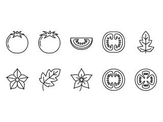 Tomato Icons Vegetable Food Ingredient Elements © TARU STOCKPLC