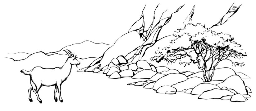 Vector landscape. Tree near a mountains