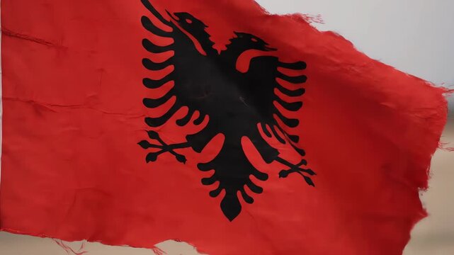 Albania Flag with Black Double Headed Eagle Waving in Wind