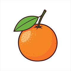 illustration of an orange fruit