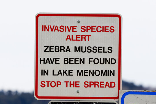 Warning sign for invasive species at Lake Menomin, Wisconsin. Close-up of notice alert for Zebra Mussels, advising boaters to stop the spread to protect water quality and local ecosystems.