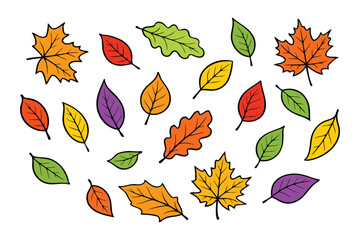 Obraz premium Colorful autumn leaves scattered in a playful arrangement on a white background