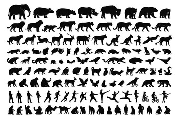 Evolutionary transformation of a walking bear into various animals and humans © belal