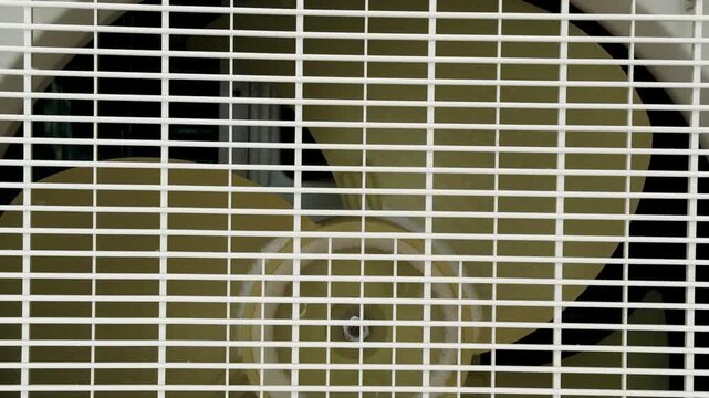 Closeup Air Conditioner Fan Grille Showing Rotating Blades During Maintenance Inspection, Dust Accumulation On Plastic Housing, Exposed Motor And Wiring, Shadowed Background, High detail.