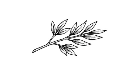 White Foliage Branch Graphic Against Black Backdrop Minimalist Design