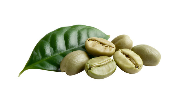 Green coffee beans with leaf on white background isolated on a transparent background