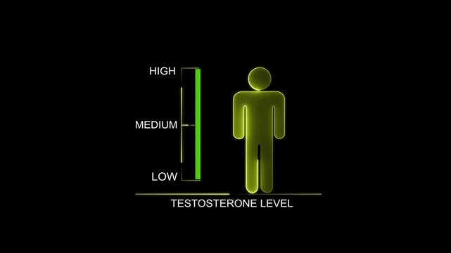 Testosterone Level Indicator with Human Silhouette. Glowing neon animation and black background .good level on high measure scale. Instrument scale with silhouette of a neon man.4k video motion.