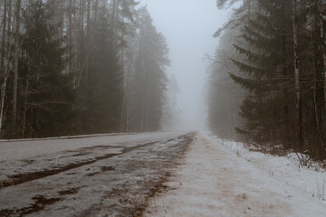 Fototapeta premium Snowy forest road disappearing into dense fog, atmospheric winter landscape with icy pavement and tall trees symbolizing solitude