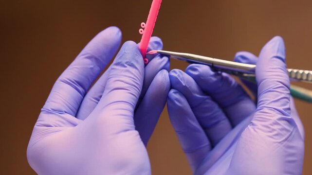Close up of orthodontist hands working with pink elastic ligature using dental instrument. Focused preparation process highlights precision handling and careful control before orthodontic procedure.