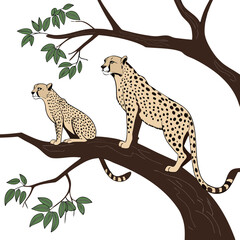 Two cheetahs sitting on tree branch with green leaves © shahin11
