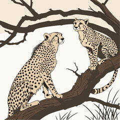 Two cheetahs sitting on a tree branch spotted fur wildlife animals in tree © shahin11