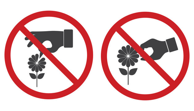 Forbidden pick up flower warning stop sign icon.