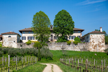 Historic Italian Villa with Stone Wall and Spring Vineyard