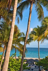 Varadero, Cuba; 04.07.2023. Beautiful, colourful sunset on the beach in Varadero, Cuba! Cote d'Azur of the Atlantic Ocean, next to the Caribbean Sea. Cuba wild palm beach background. Nature blue sea l