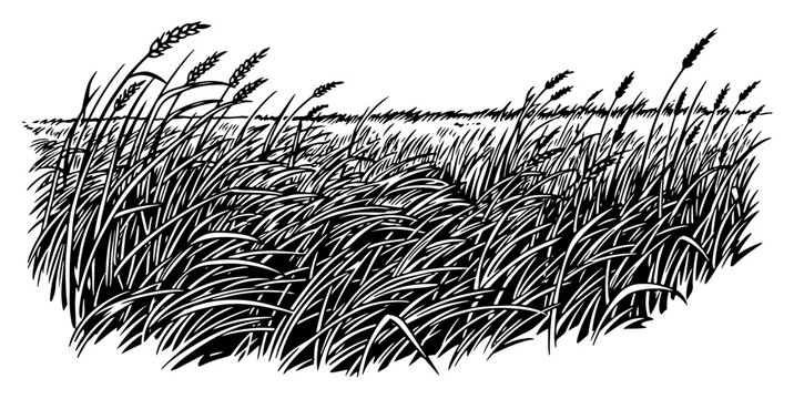 Tall grass and wild grain field blowing in the wind in a vintage ink style
