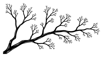 Large horizontal hand drawn branch of a leafless tree in vintage ink sketch style © Cristiano