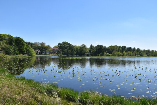 Peaceful lake landscape in Altamonte Springs, Florida, USA