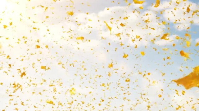 Golden-hued confetti against a pale sky and clouds. Dynamic upward movement perceived