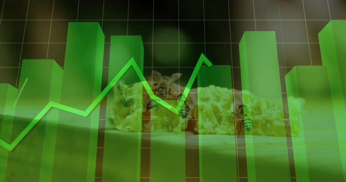 On cue translucent bars sliding while worker bees feeding, line graph rising to show honey trends
