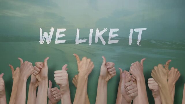 Coastal scene pausing, hands emerging with thumbs-up, text WE LIKE IT appearing, showing approval