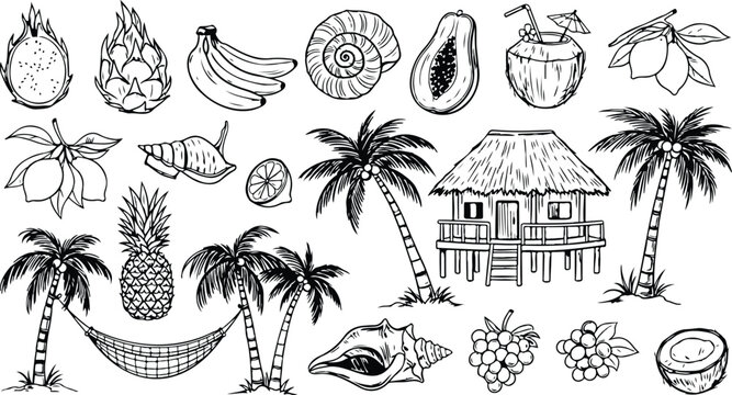 Bali, Thailand or tropic style vacation. Hand drawn vector illustrations. Grunge rough doodle sketch coconut palm tree, exotic fruit and seashell. Blue chalk charcoal drawings for poster, placard