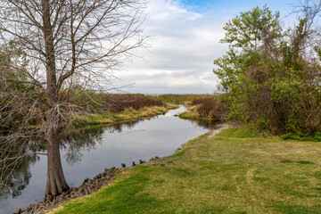 A tranquil creek with lush greenery, reflecting a peaceful sky in Dr Bradford Memorial Park, Winter Garden, Florida.