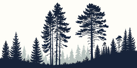 Silhouette of tall pine trees against a dark sky in a forest landscape