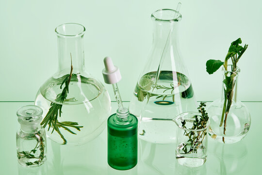 Creating natural cosmetic products with plant extracts