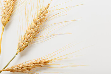 Naklejka premium Golden wheat stalks arranged on a plain background during daylight hours