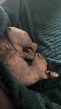man sleeping on the beach