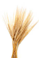 Fototapeta premium Wheat stalks arranged on a plain background during the daytime for a simple display